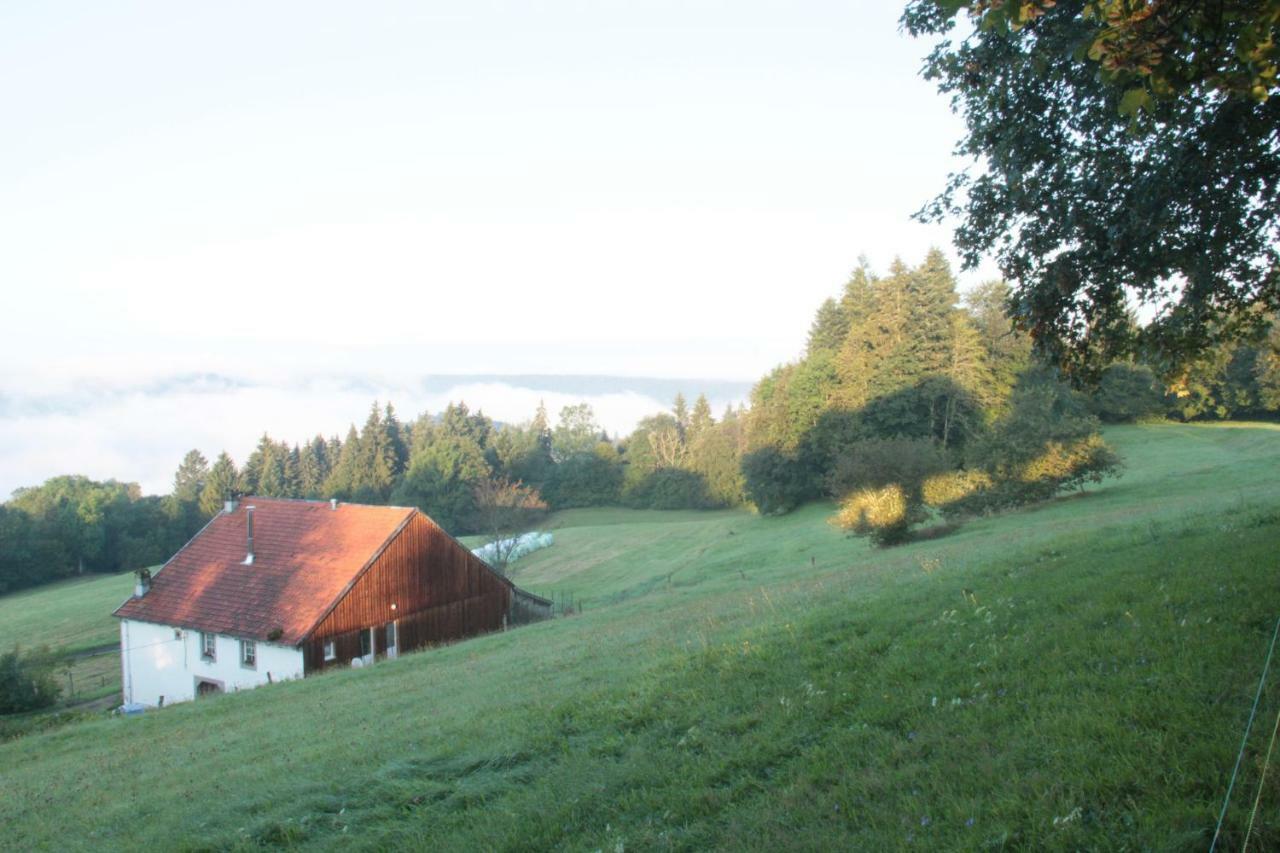 Viaux-Fontaine Villa Saulxures-sur-Moselotte Eksteriør bilde