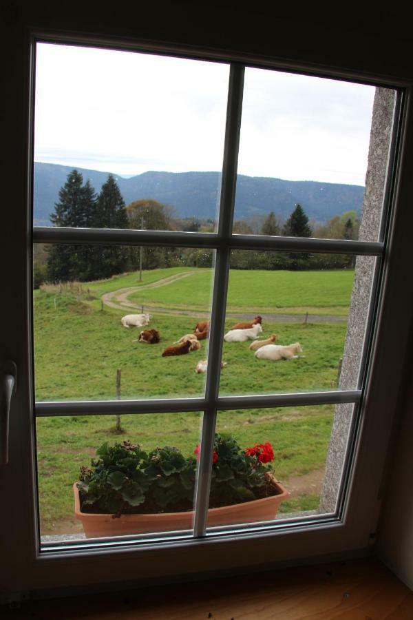 Viaux-Fontaine Villa Saulxures-sur-Moselotte Eksteriør bilde