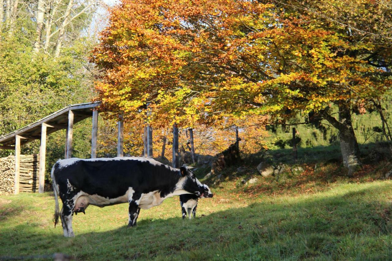 Viaux-Fontaine Villa Saulxures-sur-Moselotte Eksteriør bilde