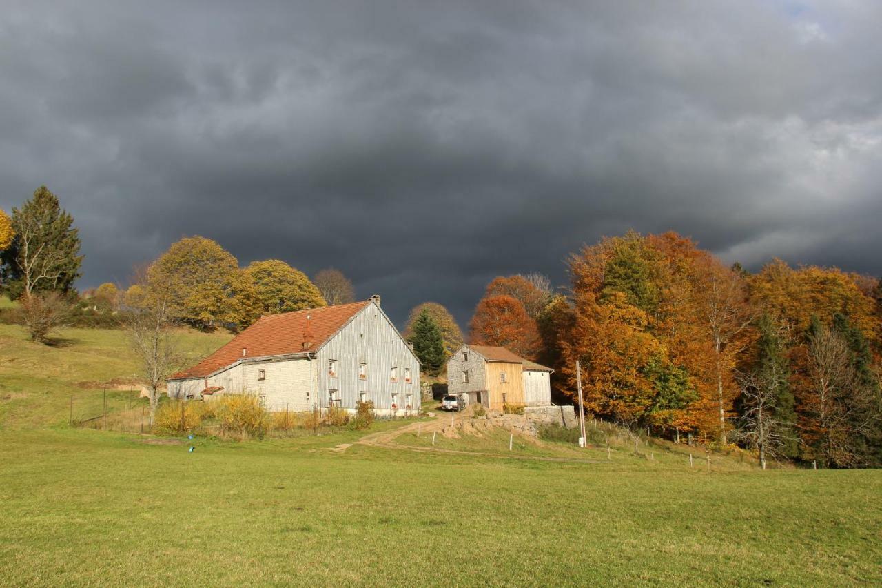 Viaux-Fontaine Villa Saulxures-sur-Moselotte Eksteriør bilde